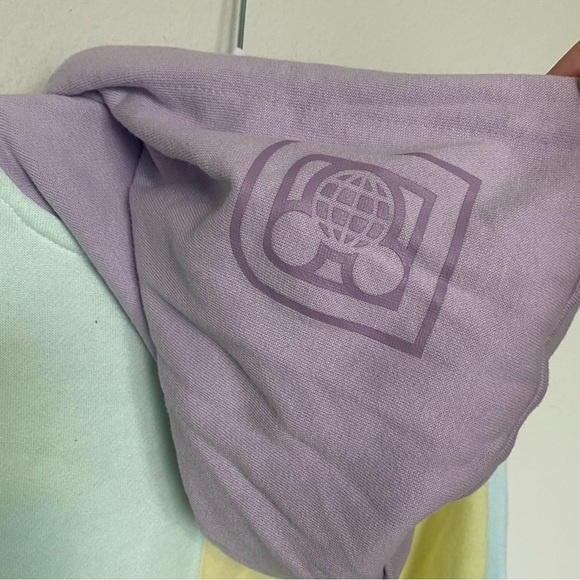 Walt Disney World Pastel Logo Colorblock Hoodie Sweatshirt Unisex Sz Medium - Picture 12 of 13